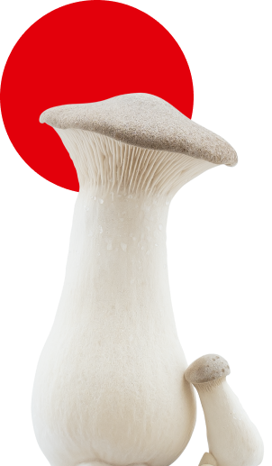 fungi-gofungi